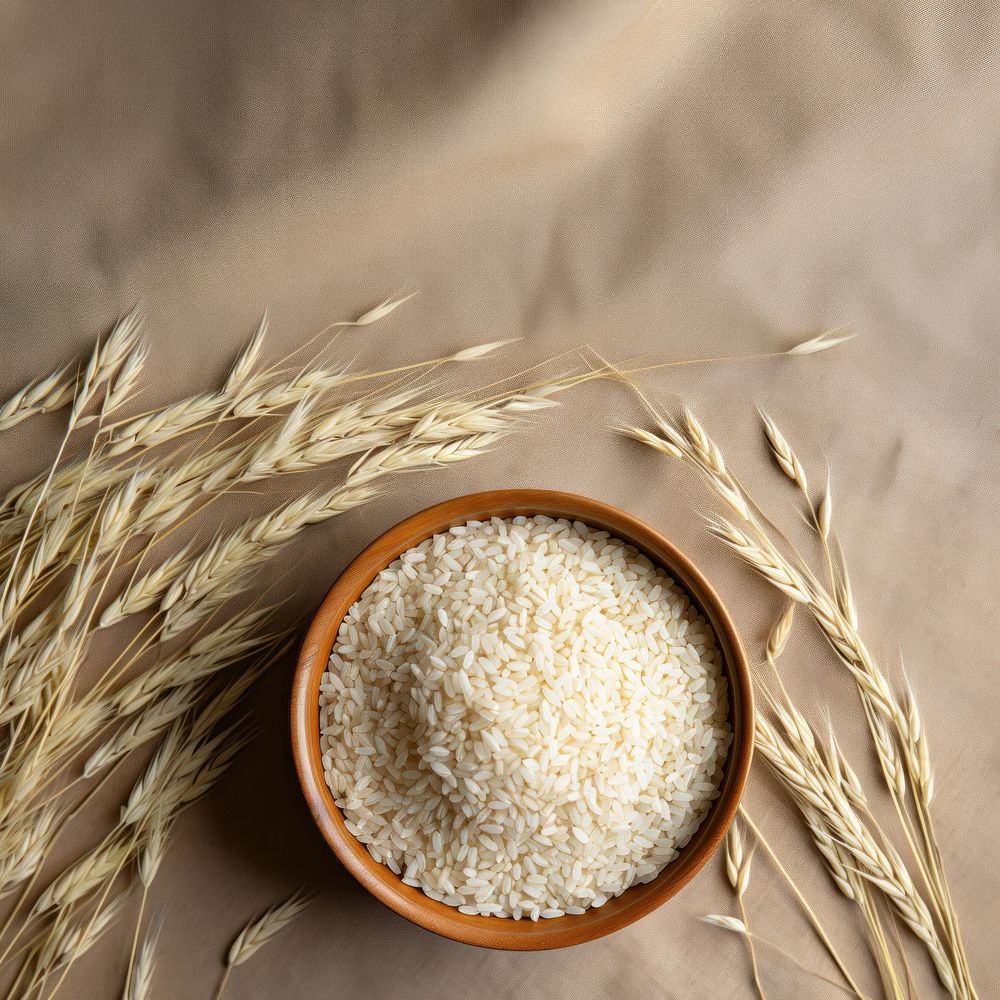 Rice plant grain food. AI generated Image by rawpixel.