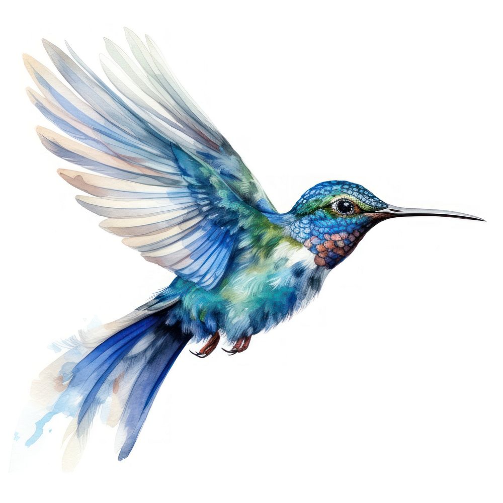 Hummingbird flying animal kingfisher. AI generated Image by rawpixel.