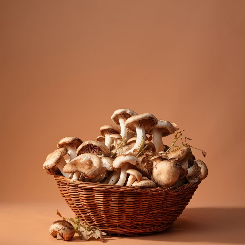 Mushroom basket freshness abundance. 