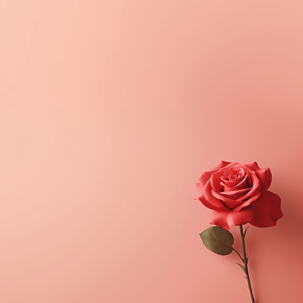 Rose flower petal plant. AI generated Image by rawpixel.