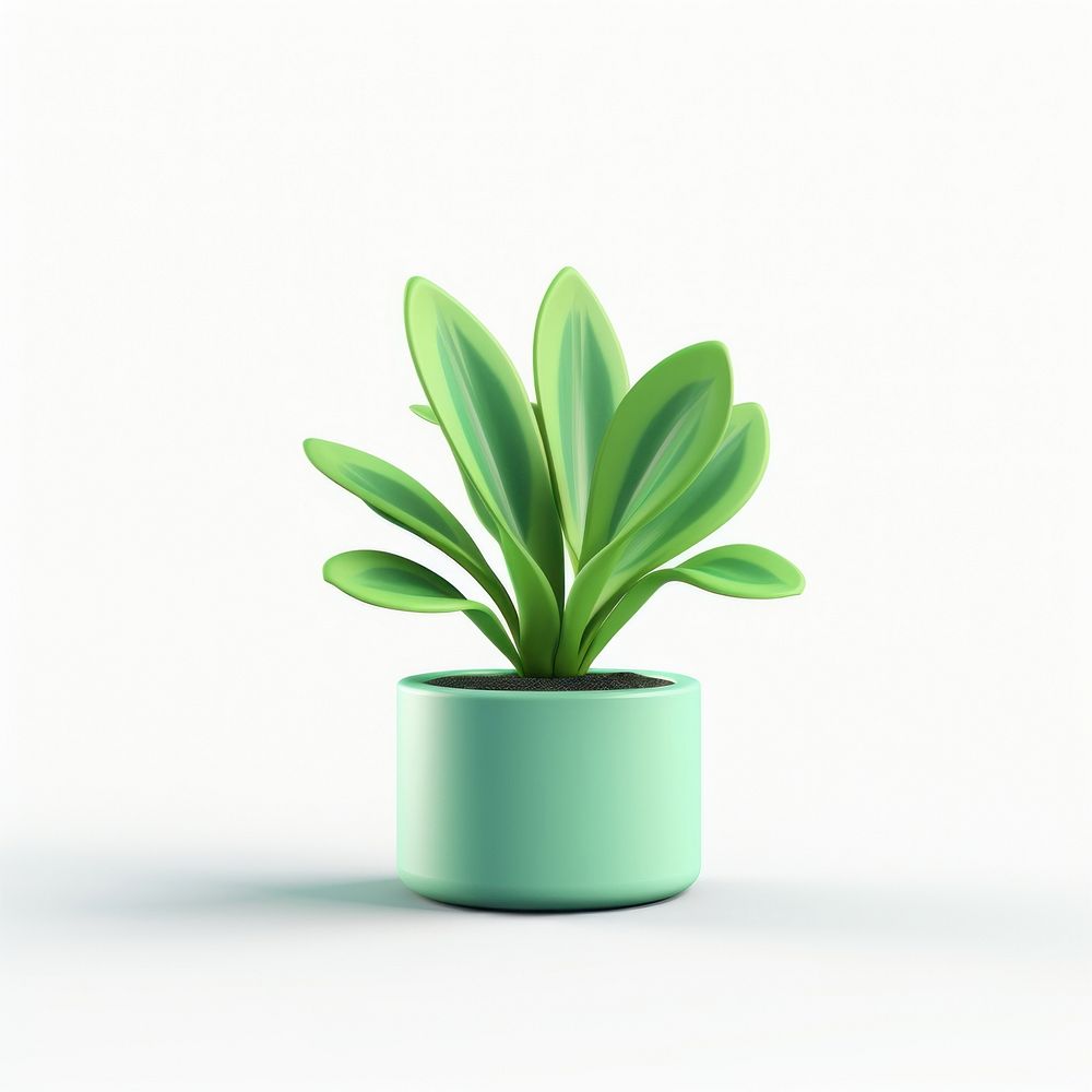 Plant houseplant leaf vase. 