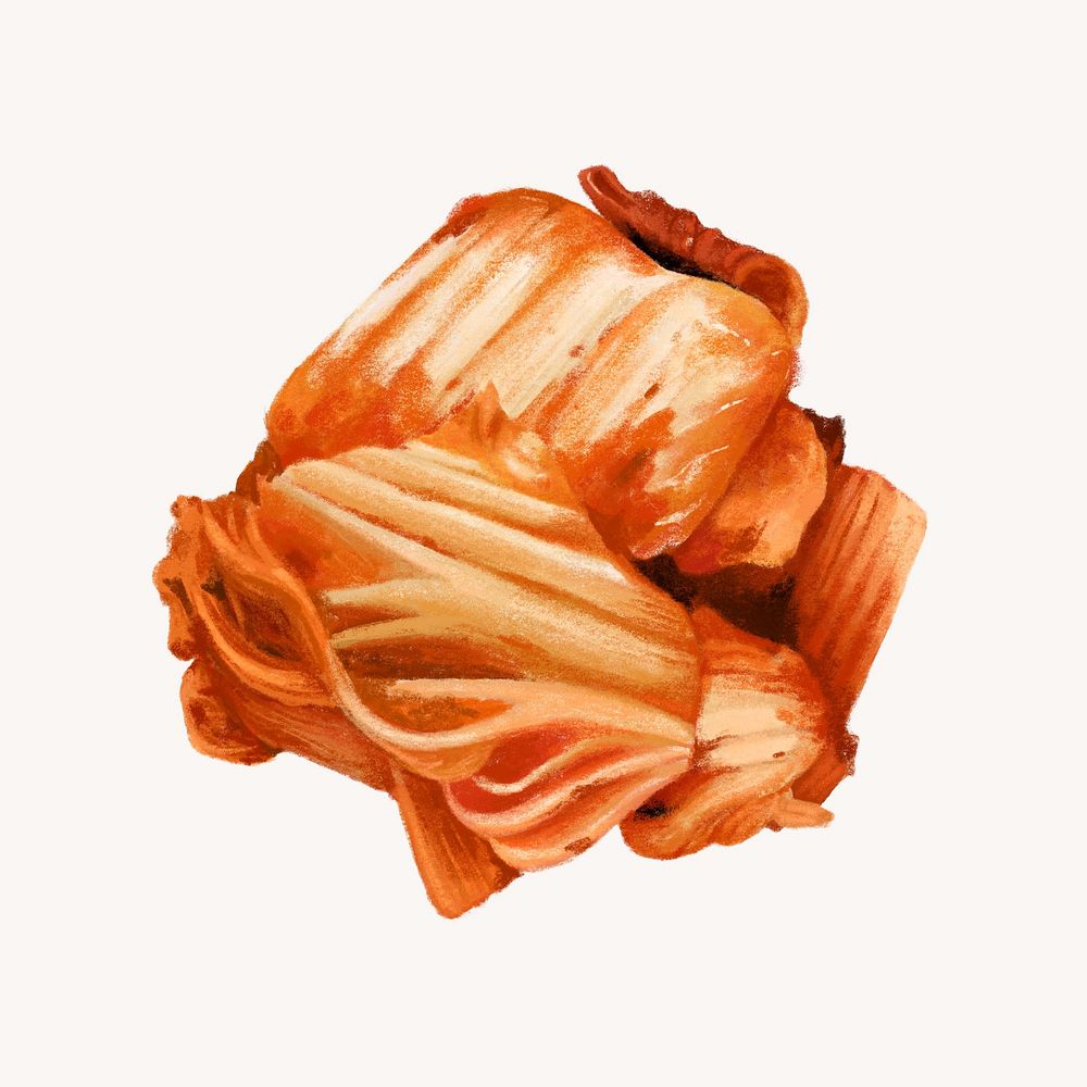 Korean kimchi salad, Asian food illustration