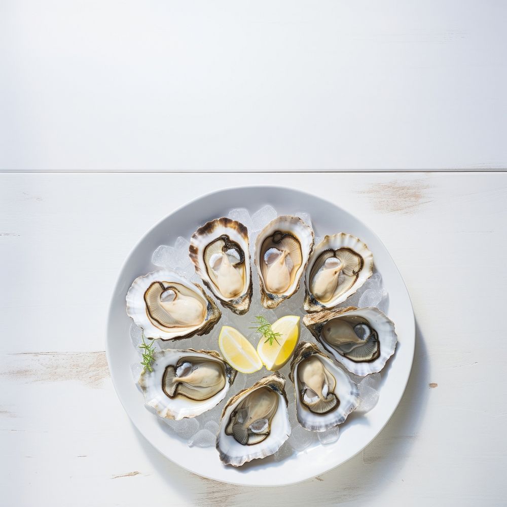 Oyster plate seafood clam. AI generated Image by rawpixel.