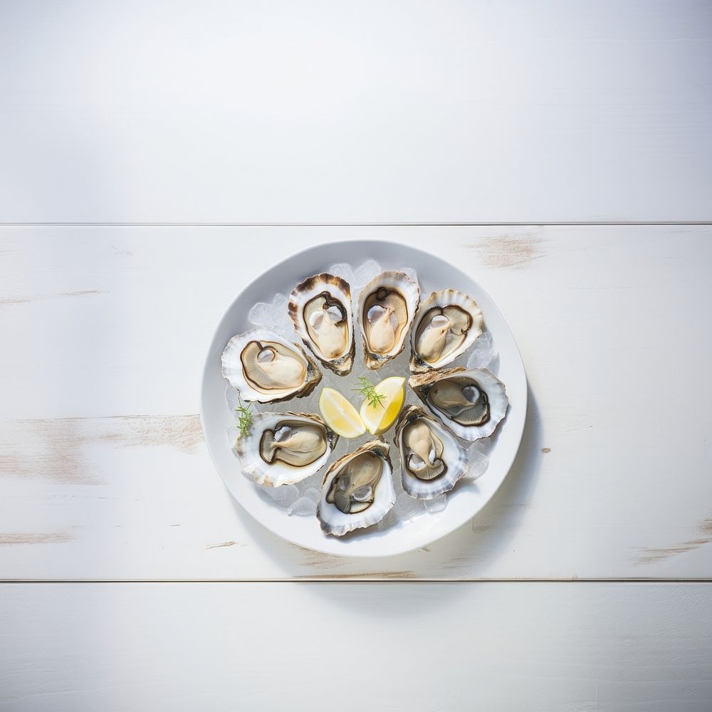 Oyster plate seafood invertebrate. AI generated Image by rawpixel.
