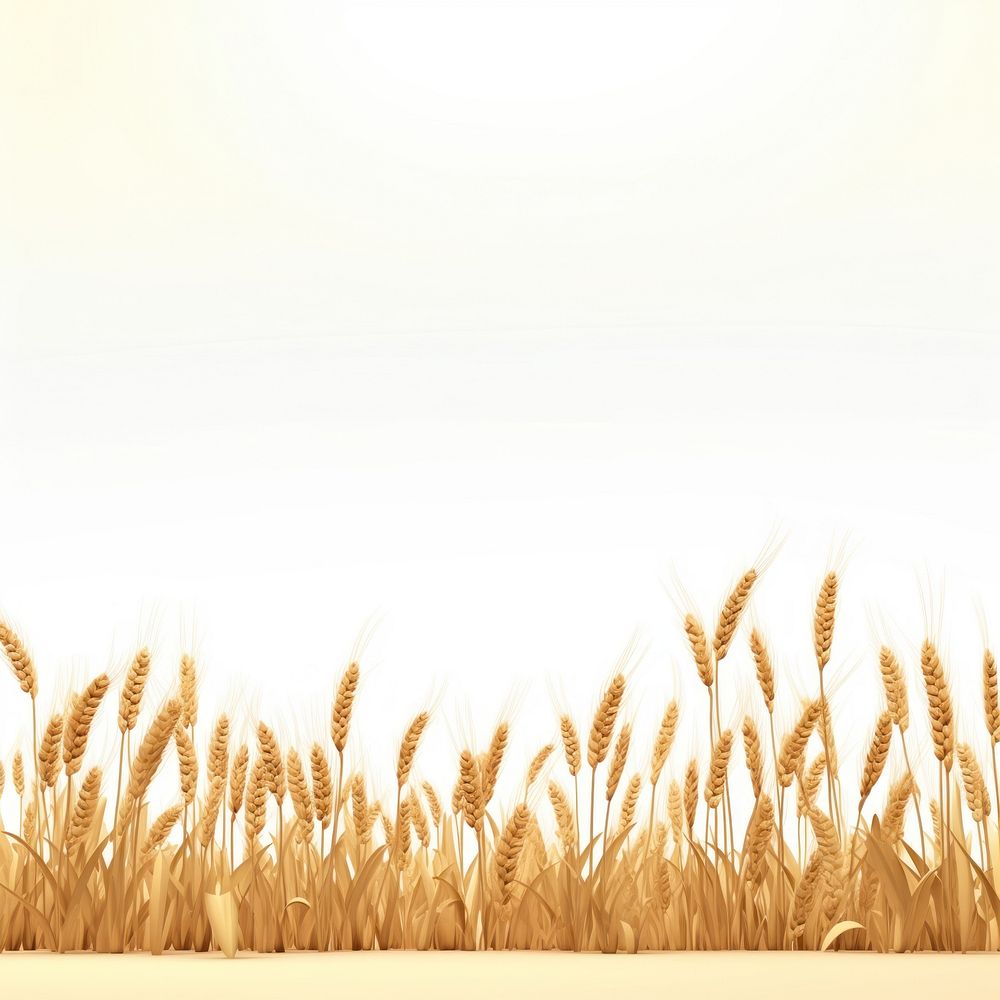 Wheat field agriculture backgrounds outdoors. AI generated Image by rawpixel.