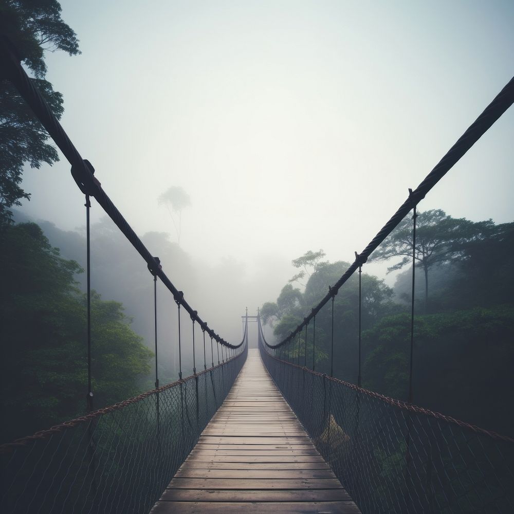 Bridge outdoors nature plant. 