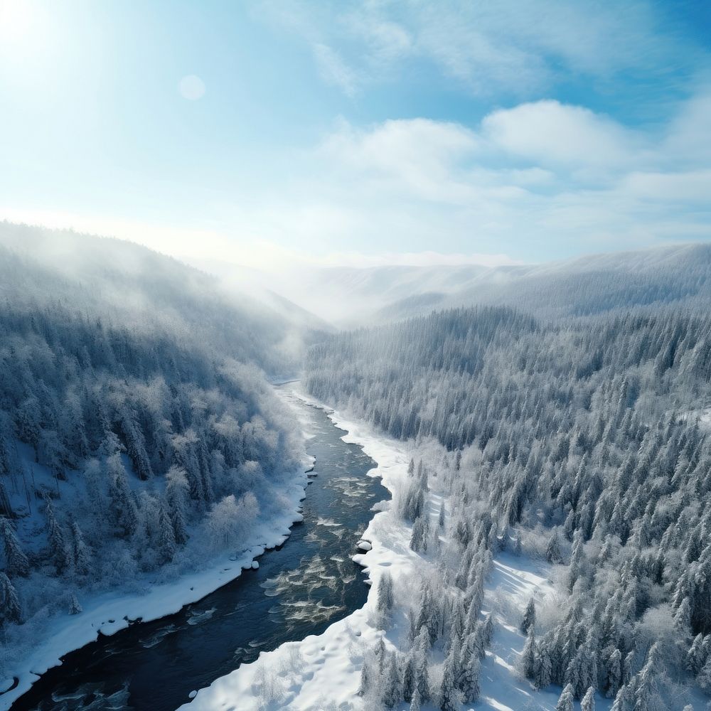 Forest river outdoors nature. 