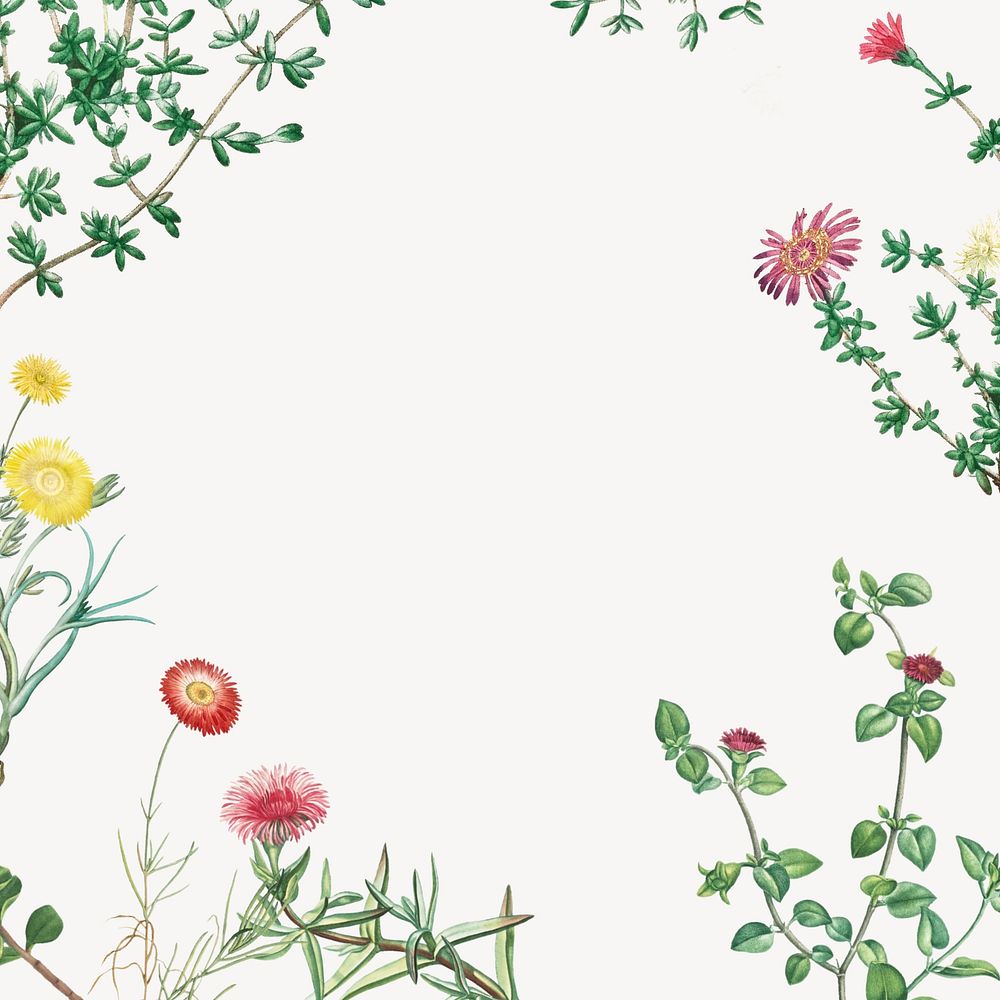 Colorful spring flowers background, off-white border
