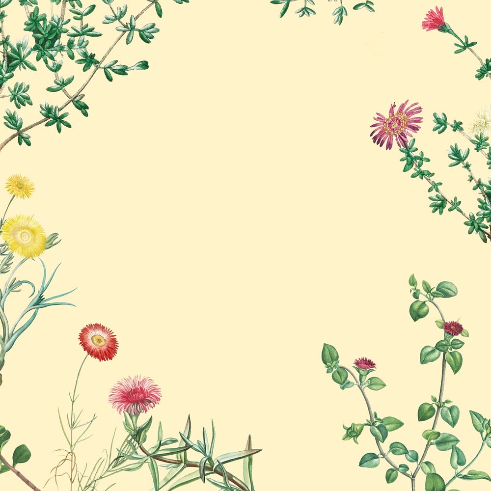 Colorful spring flowers background, beige border