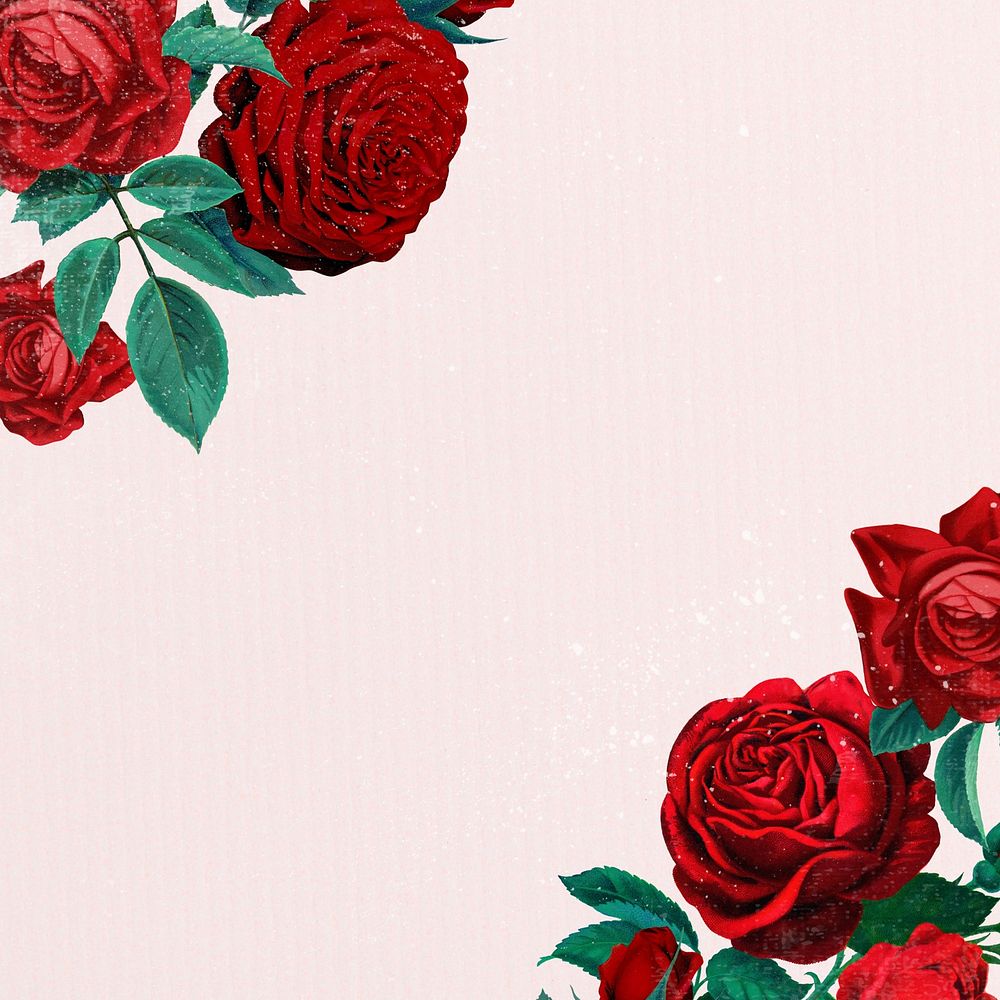 Red rose border, vintage illustration