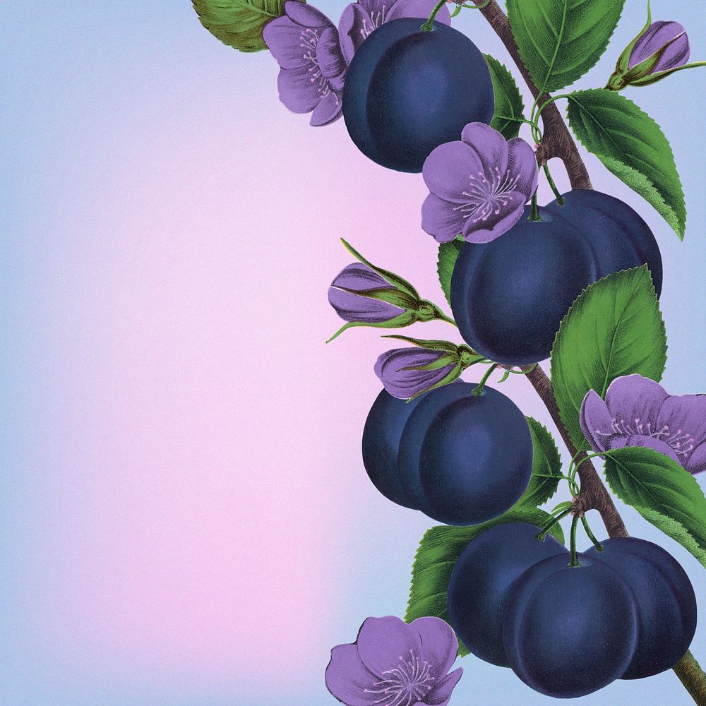 Prune and purple flower border, vintage illustration