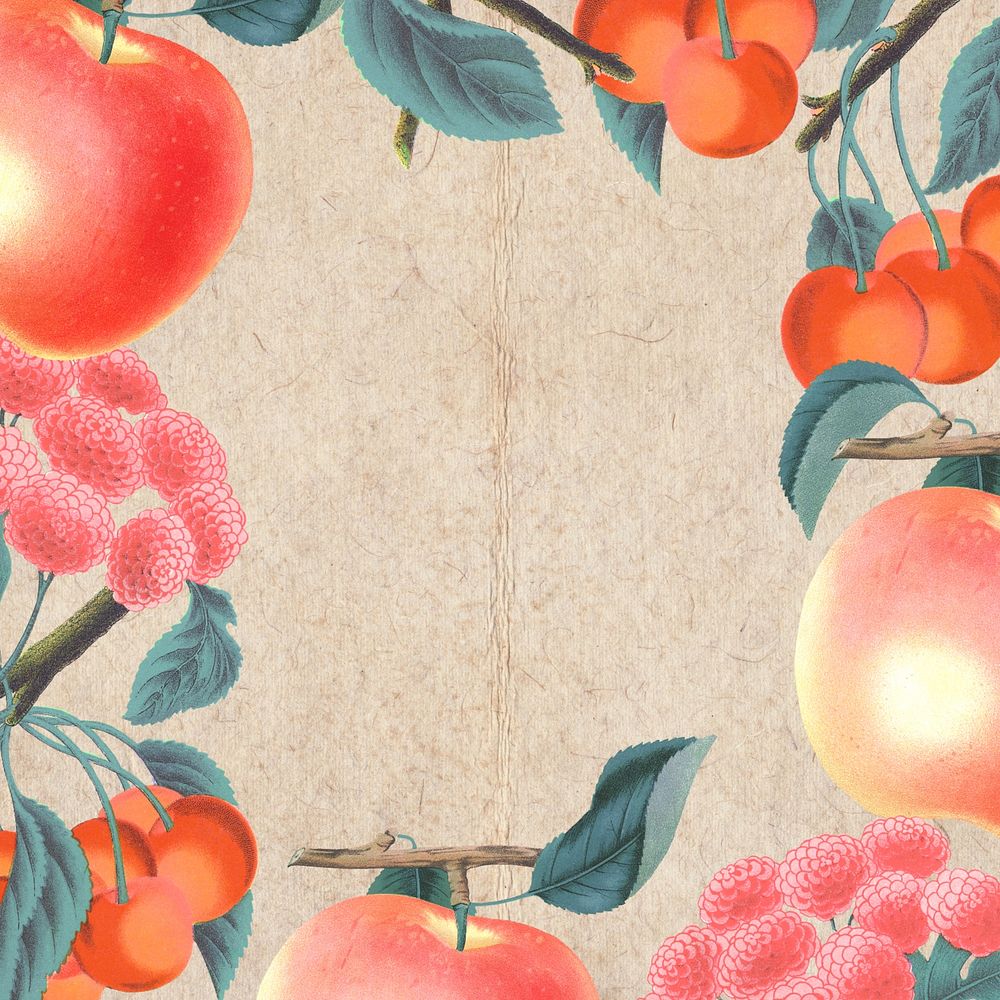 Apple and camellia frame, vintage illustration