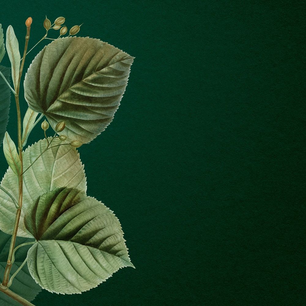 Leaf border dark green background