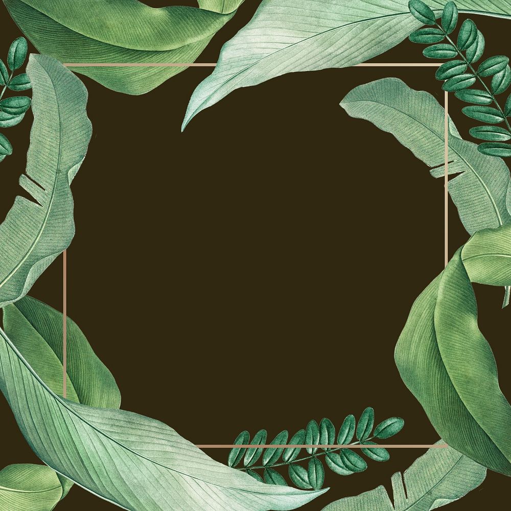 Tropical gold frame, leaf illustration