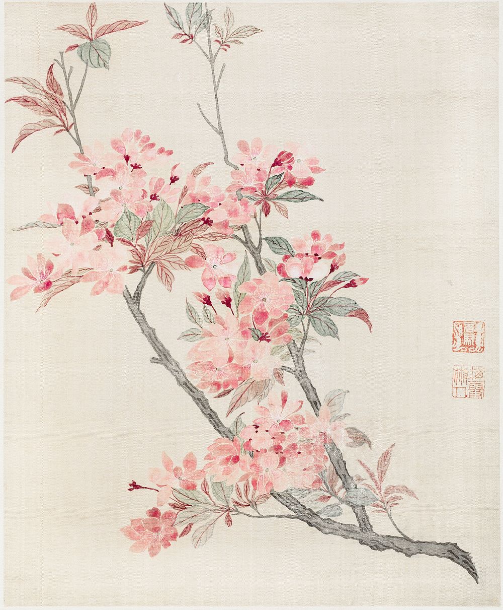 Crabapple Blossoms (1690), vintage flower illustration by Ma Yuanyu. Original public domain image from The Los Angeles…