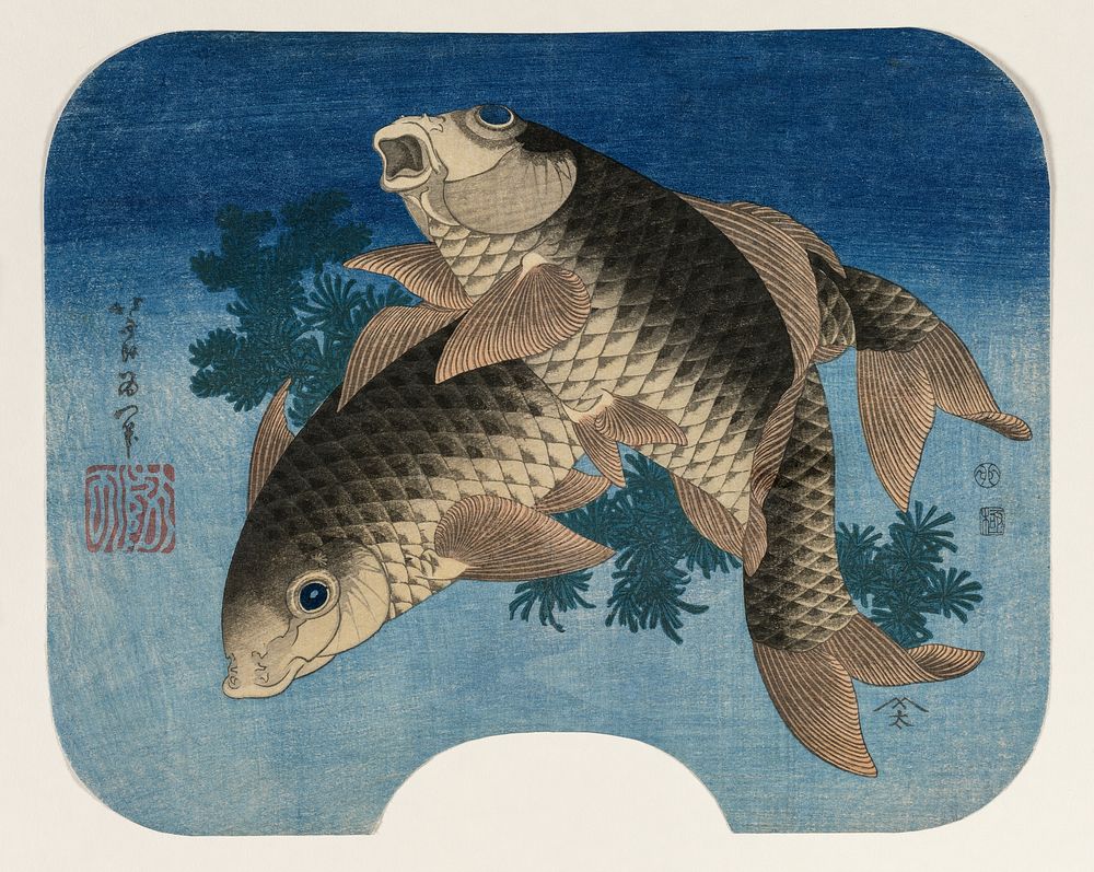 Hokusai's Carp Swimming by Water Weeds (1831), vintage Japanese fish illustration. Original public domain image from…