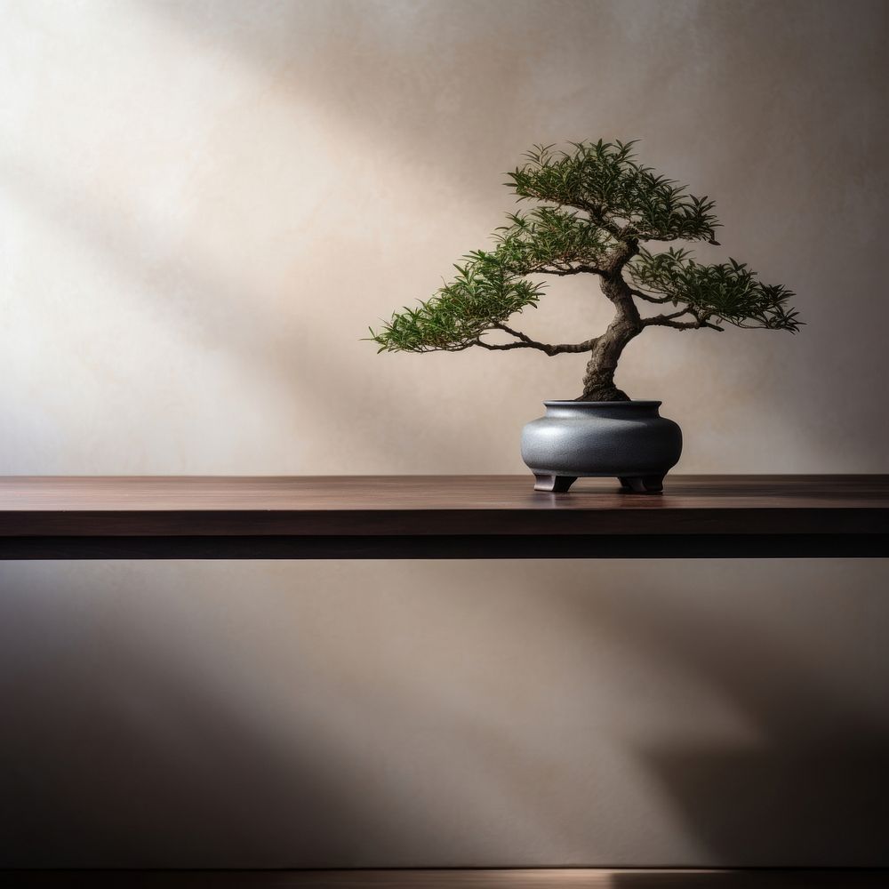 photo of a bonsai tree in the room. AI generated Image by rawpixel. 