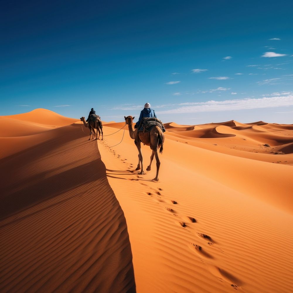 photography of camel in desert landscape . 