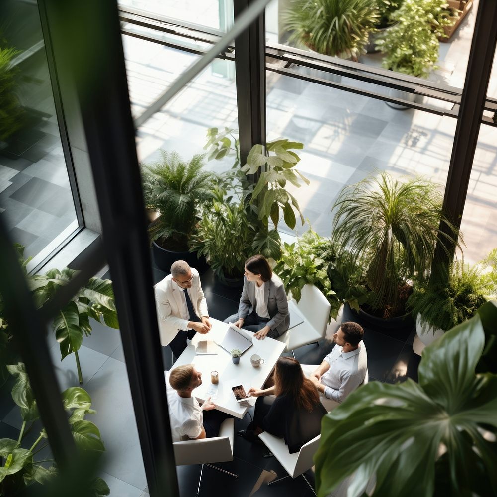 Business people office plant meeting. 