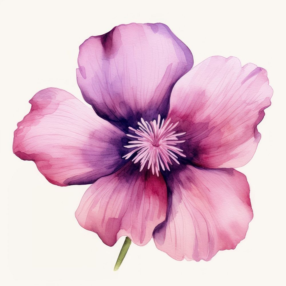 Watercolor flower blossom petal plant. AI generated Image by rawpixel.
