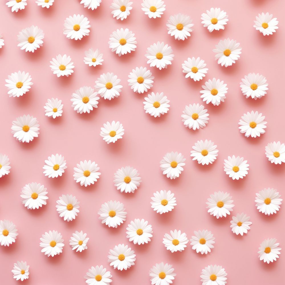 Wallpaper pattern flower daisy backgrounds. AI generated Image by rawpixel.