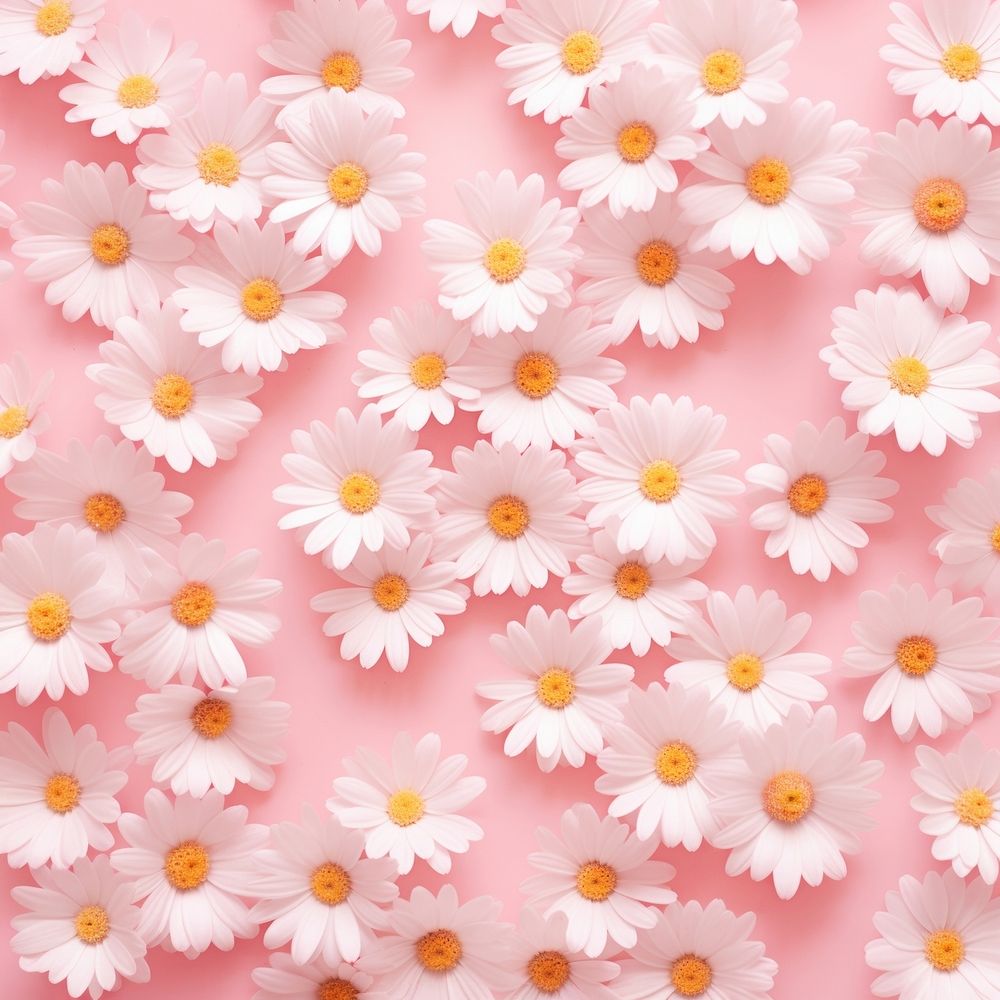 Wallpaper pattern flower daisy backgrounds