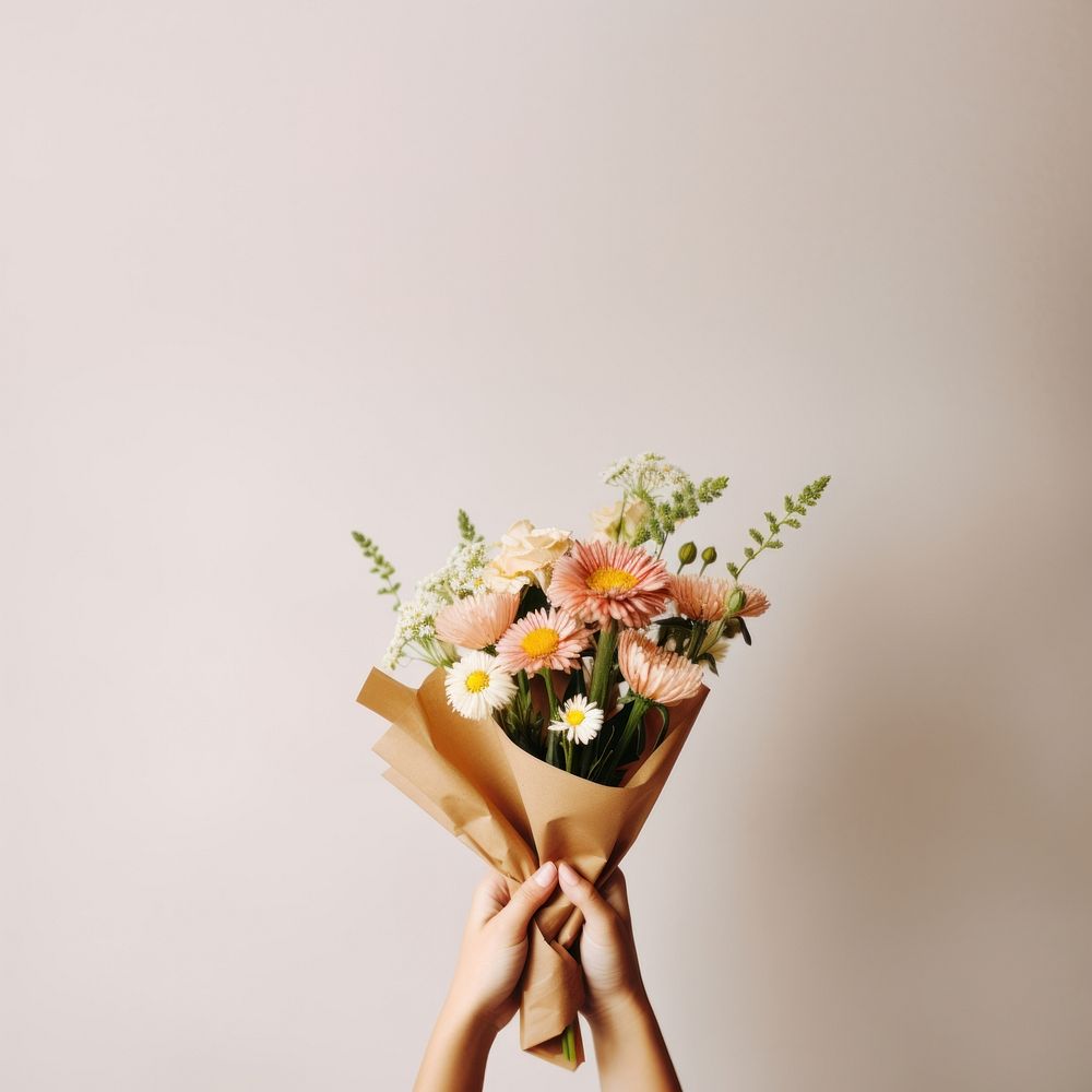 Hands holding flower bouquet plant celebration asteraceae