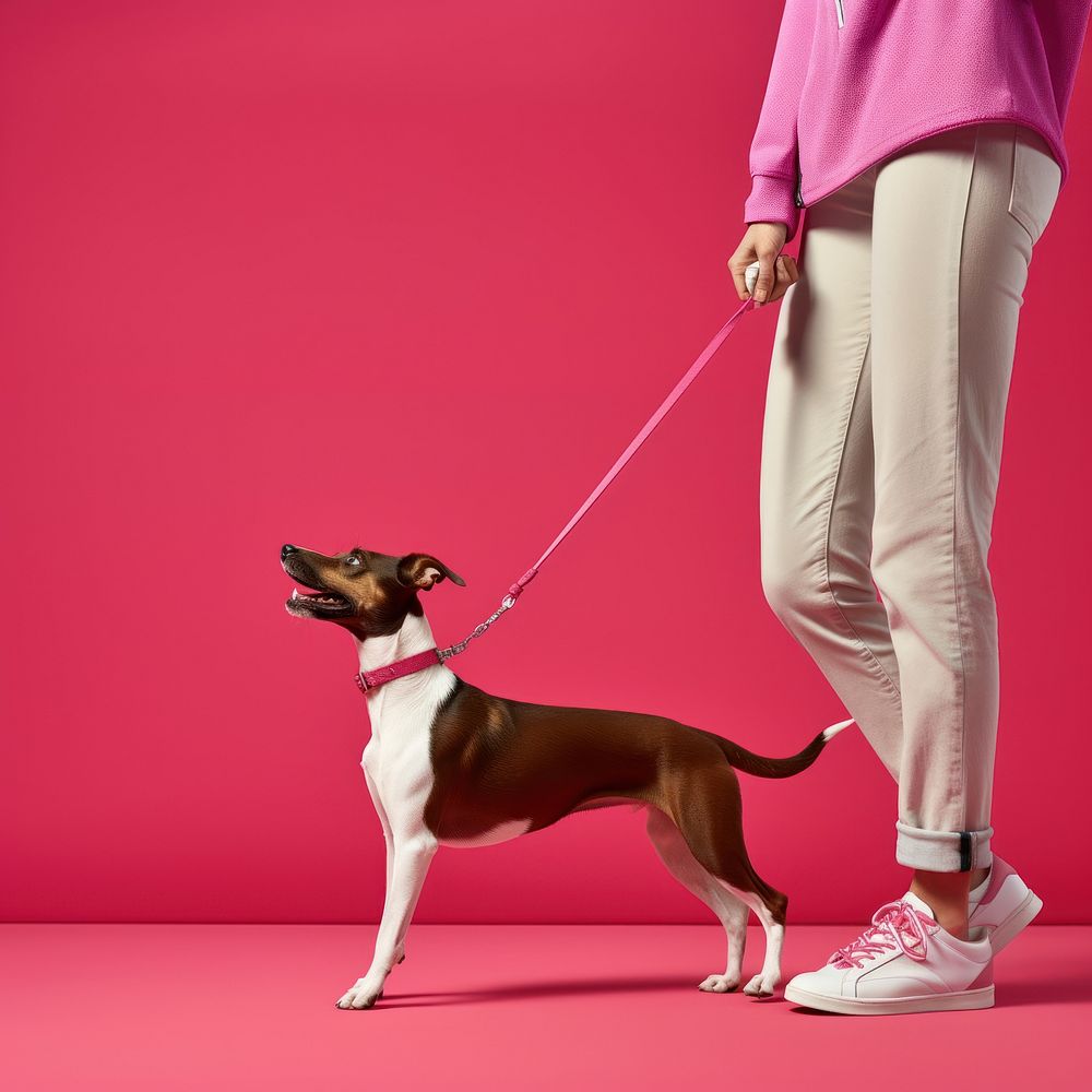 Dog leash pet animal. AI generated Image by rawpixel.