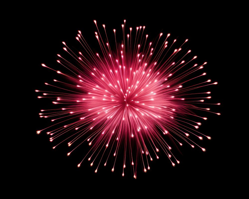 Firework fireworks black background illuminated.