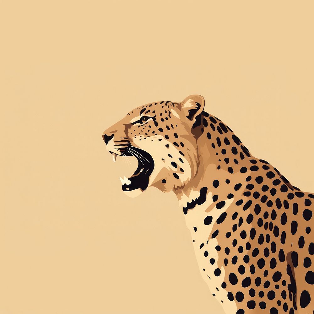 Wildlife cheetah leopard animal. 