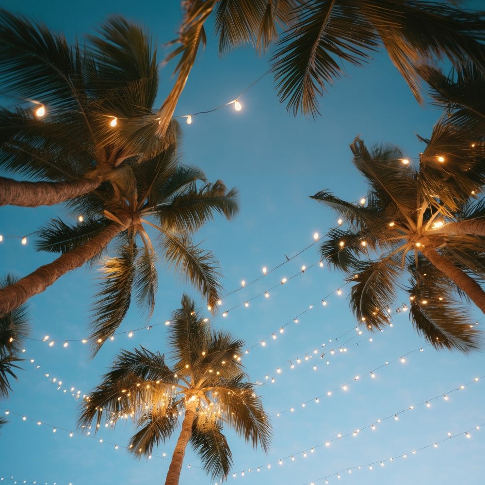 a photo of worm eye view of a palm trees during the Vanila sky with outdoor string lights. AI generated Image by rawpixel.