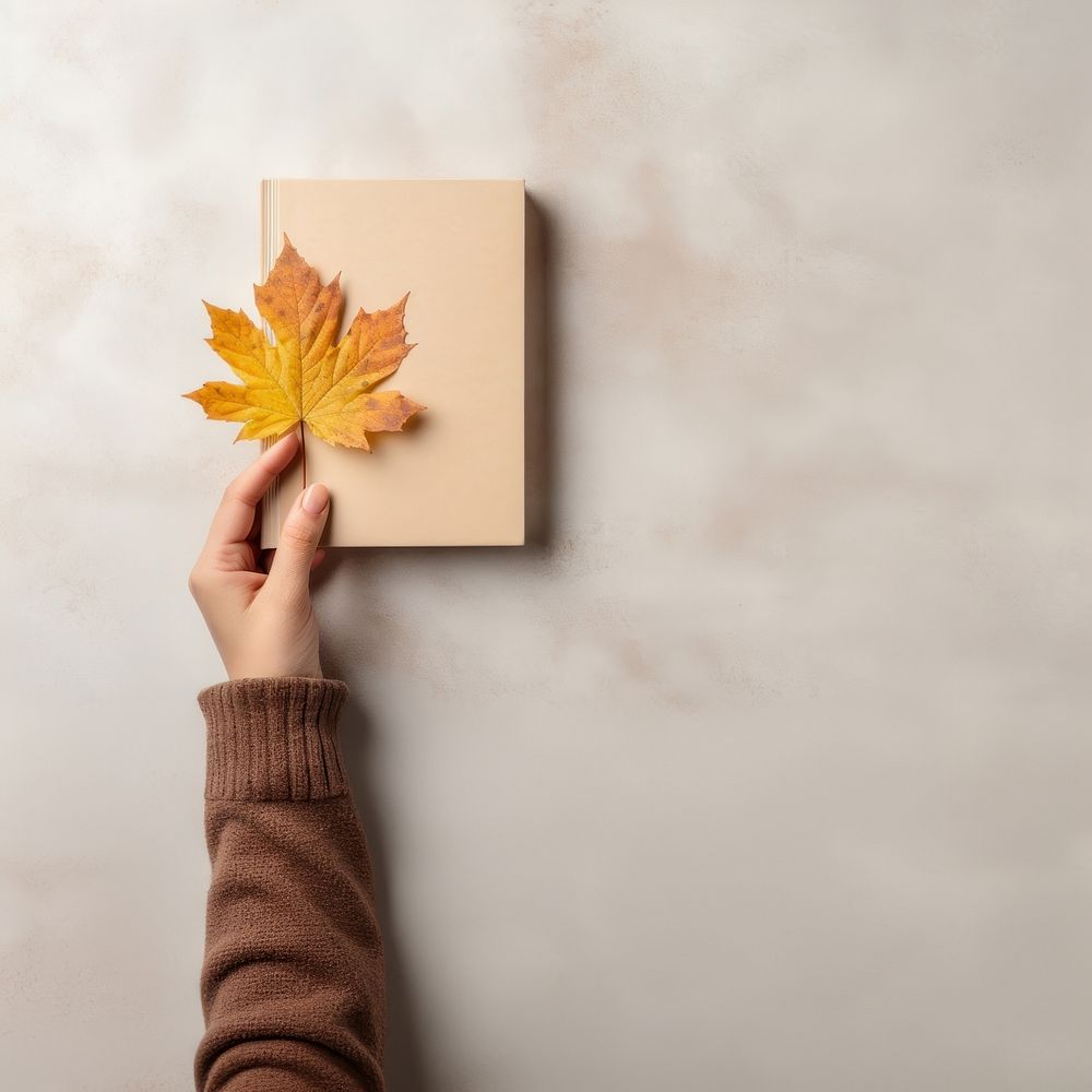 Fall leave plant paper photo. 