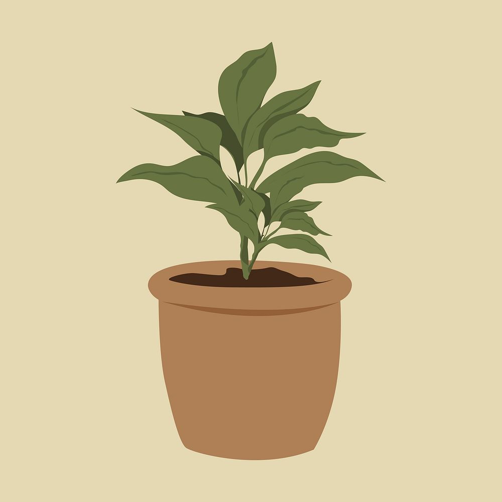 Potted plant, aesthetic illustration, design resource