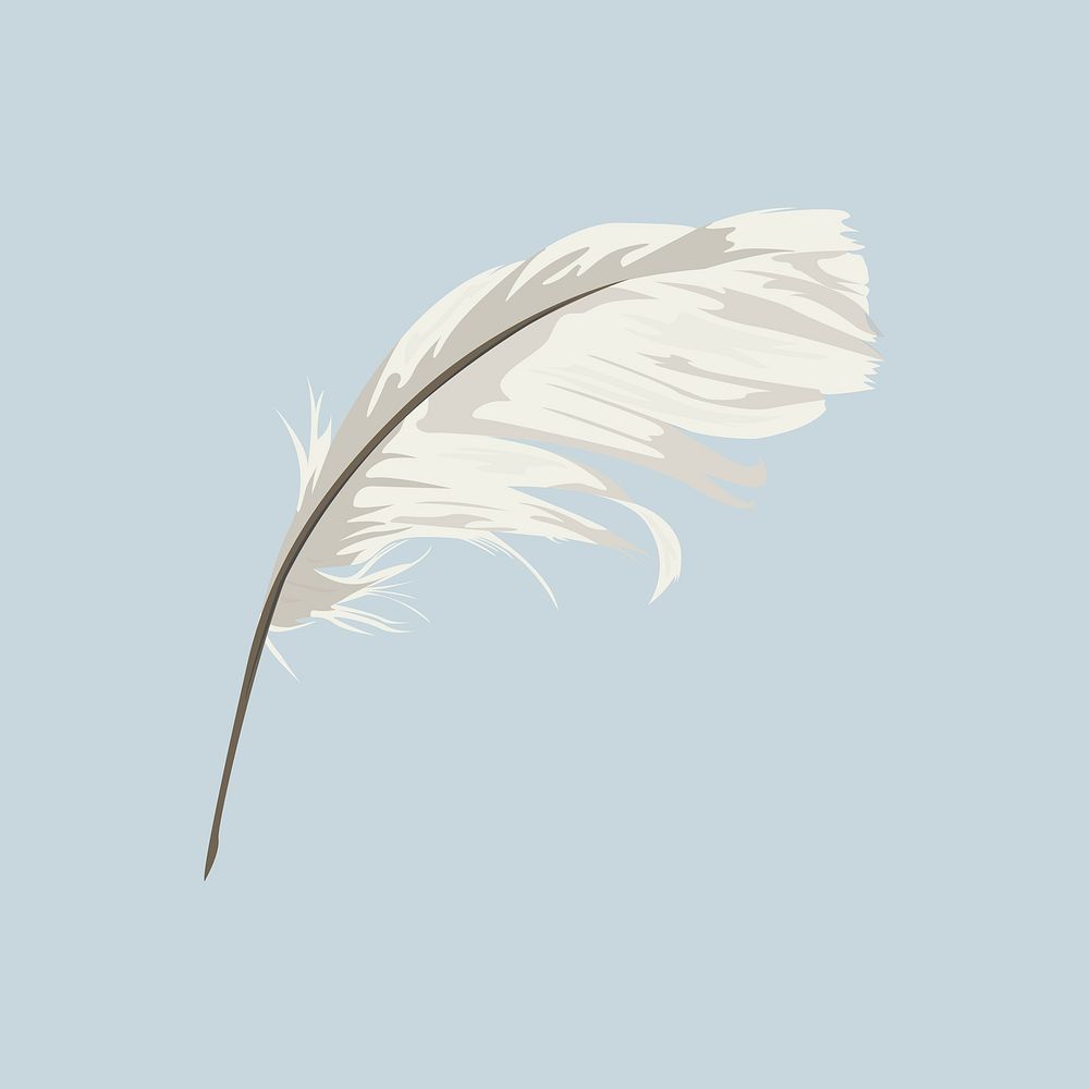 Feather quill, aesthetic illustration, design resource