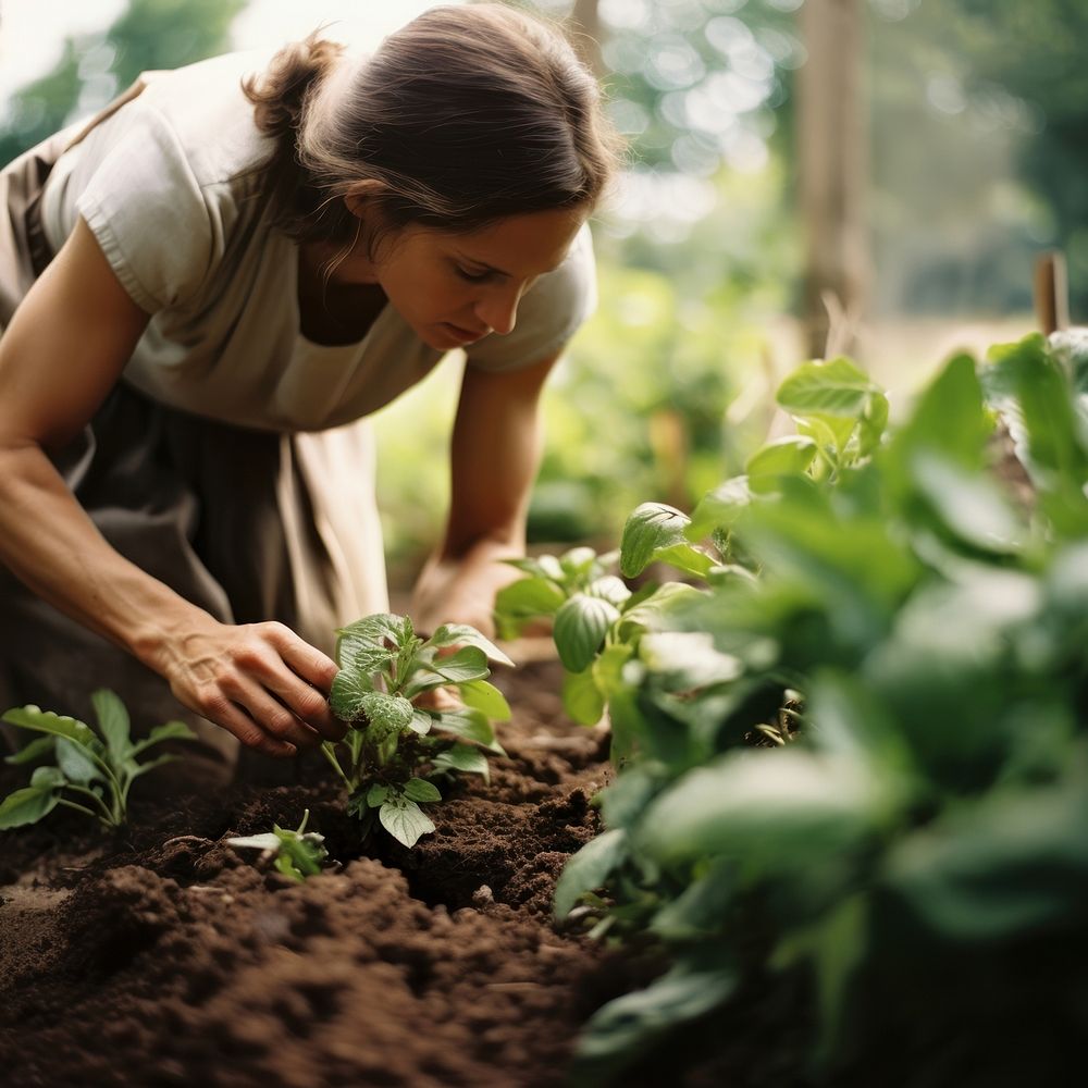 Woman Gardening gardening outdoors nature. AI generated Image by rawpixel.