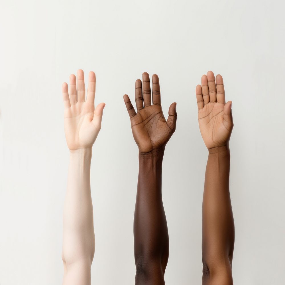 Hand finger adult white background.
