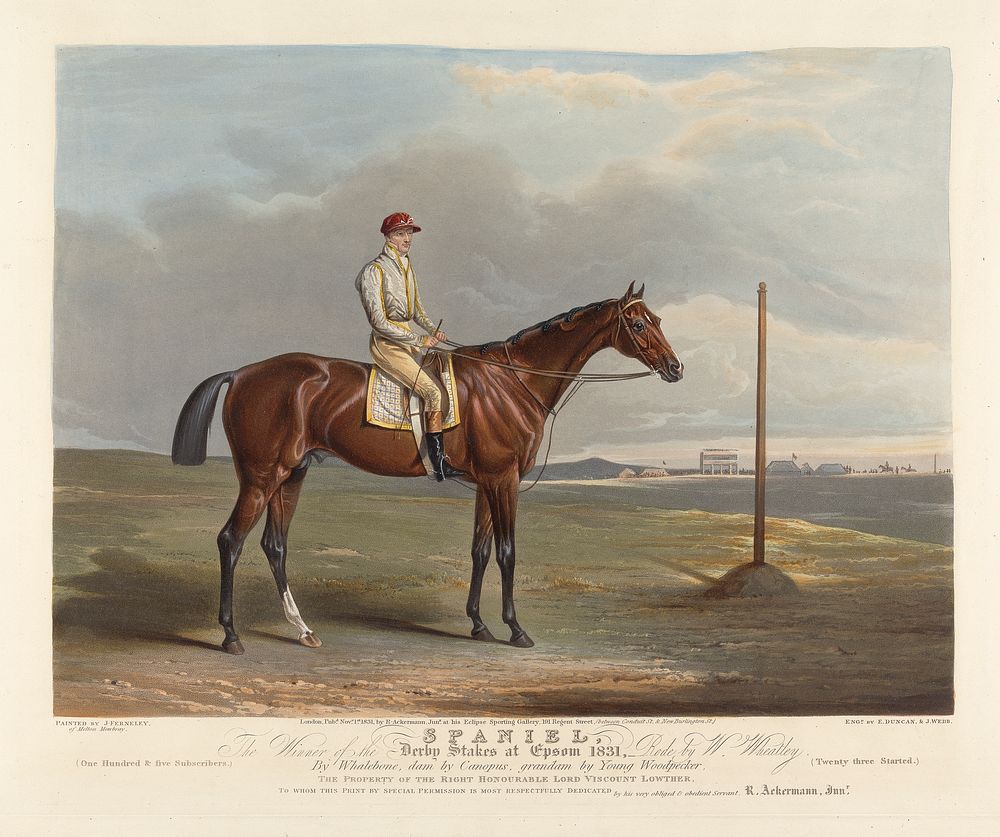 Spaniel. The Winner of the Derby Stakes at Epsom 1831