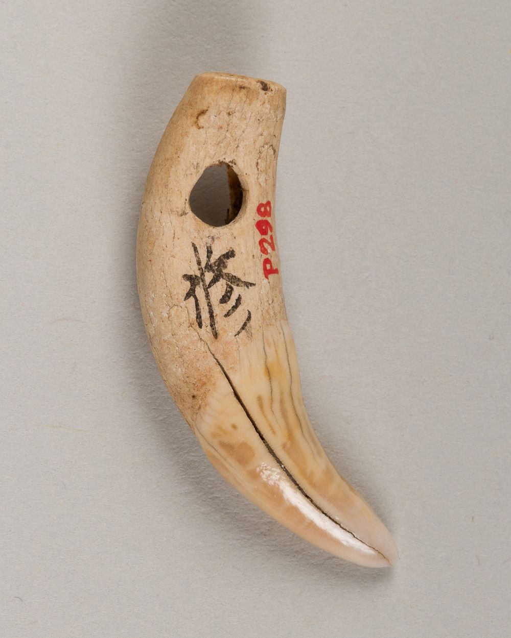 Body ornament Free Photo rawpixel