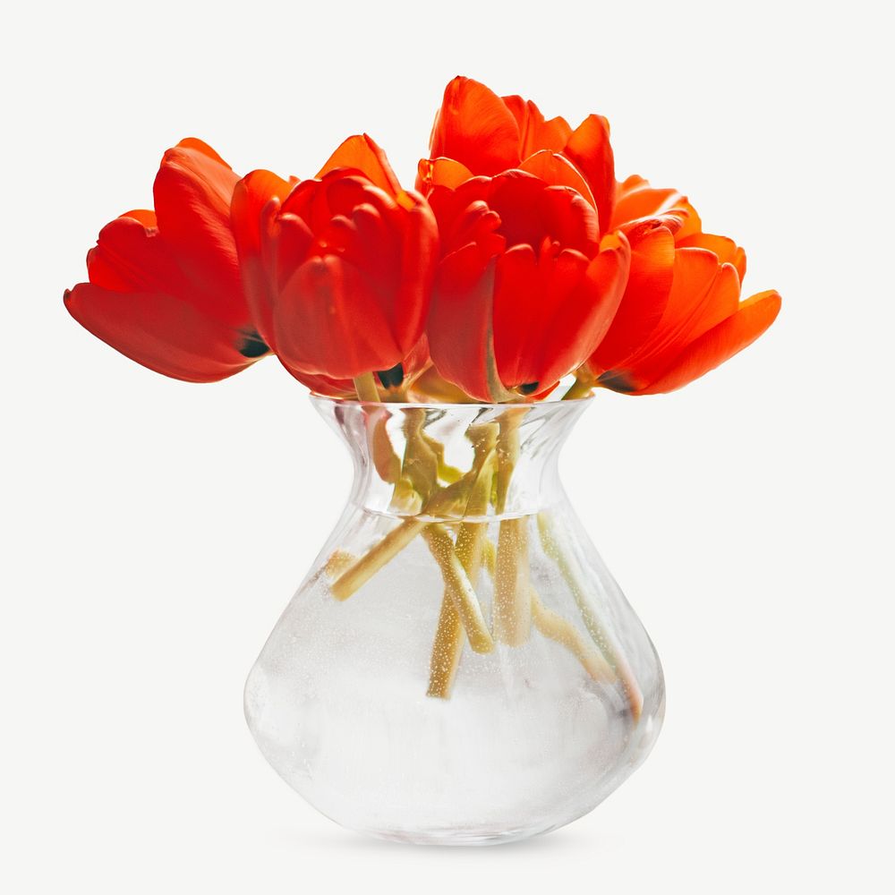 Orange tulip vase collage element psd
