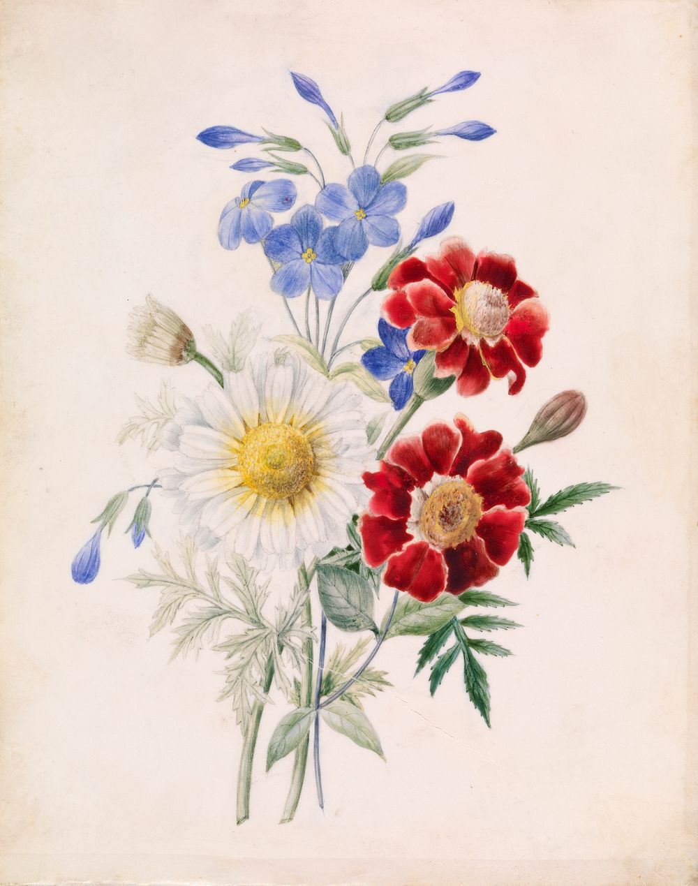 Red and Blue Flowers and White Daisy by Unidentified artist