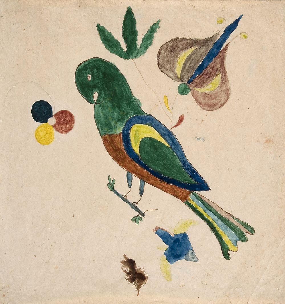 Parakeet by Unidentified artist