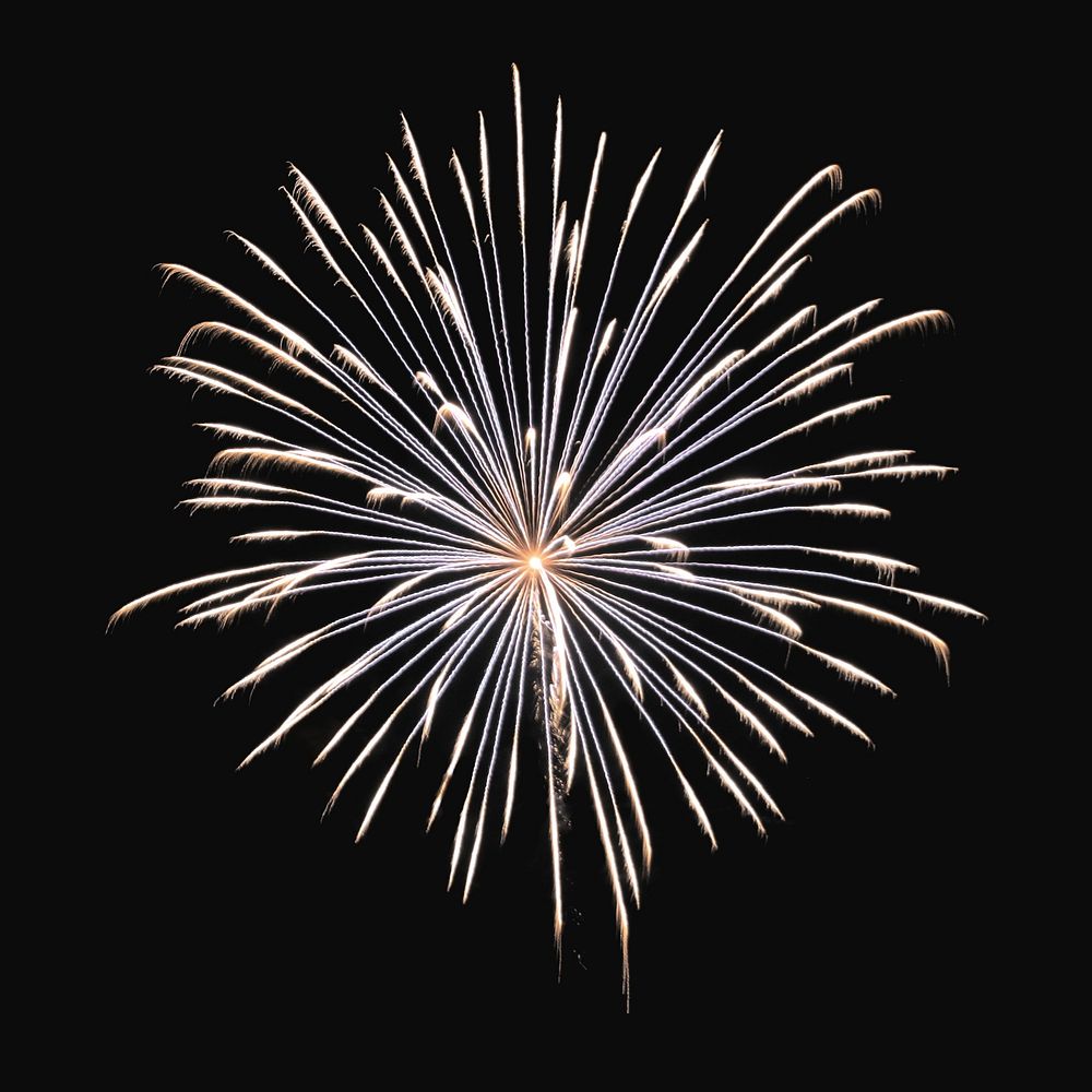 Firework celebration, isolated image
