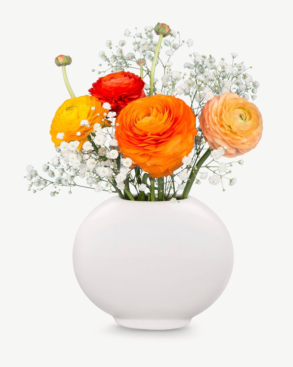 Persian buttercup in vase collage element isolated image