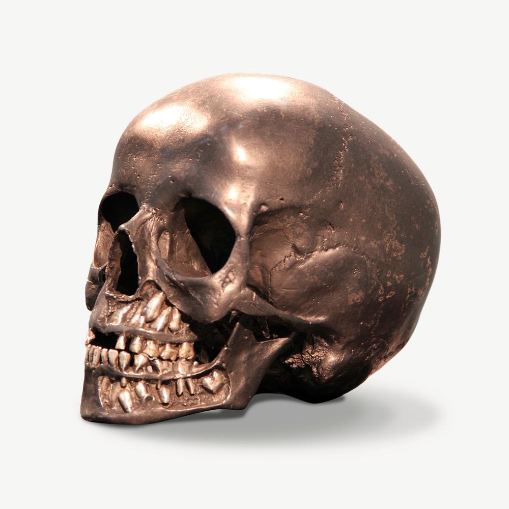 Bronze skull collage element isolated image