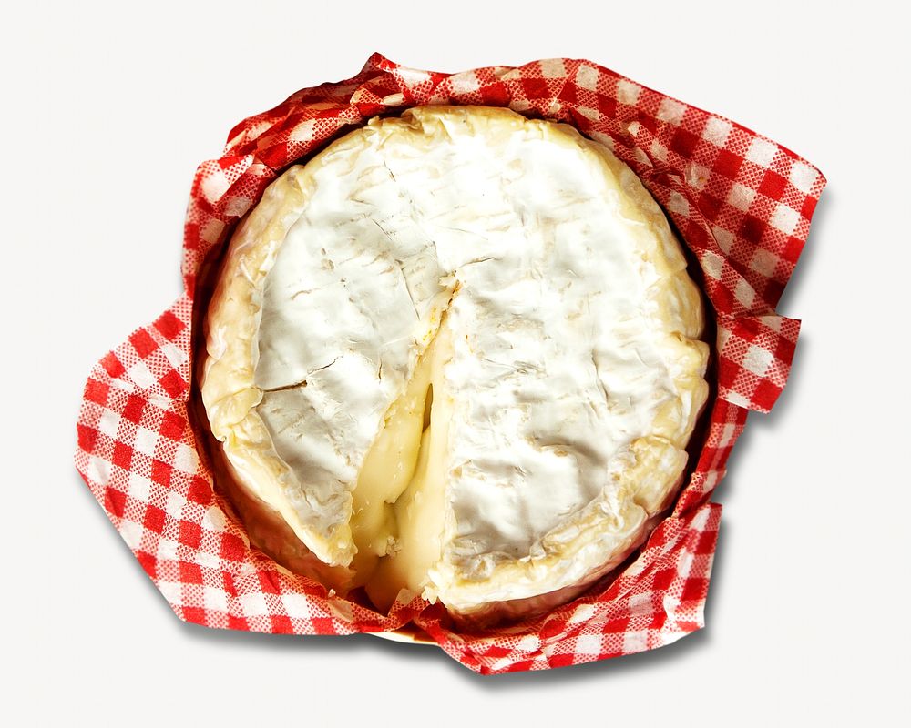 Camembert cheese isolated design