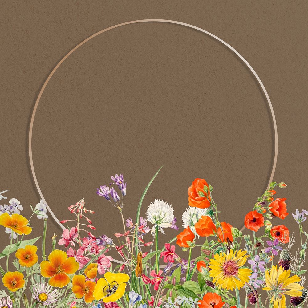 Gold round frame, Summer flower border illustration
