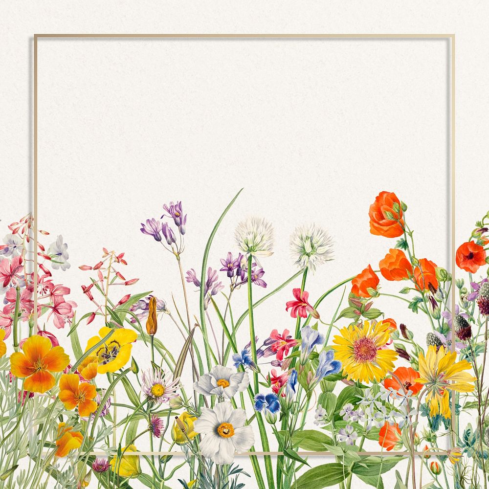 Blooming flower border, gold frame illustration