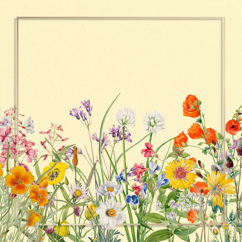 Square gold frame, flower border illustration