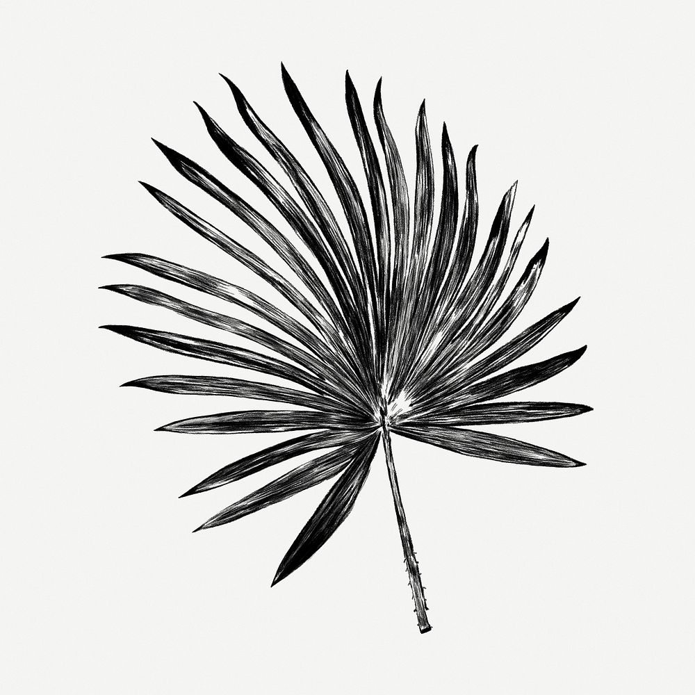 Black palm leaf, collage element psd