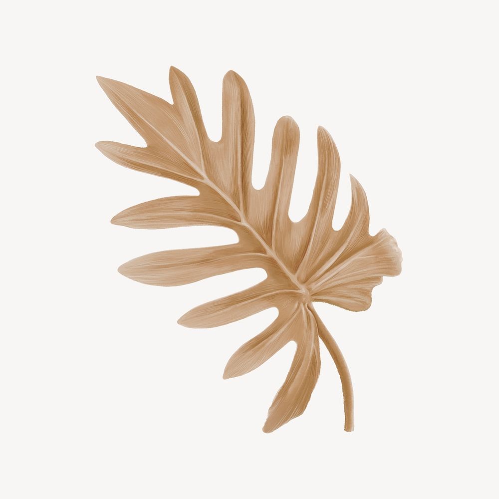 Brown philodendron xanadu leaf, collage element psd